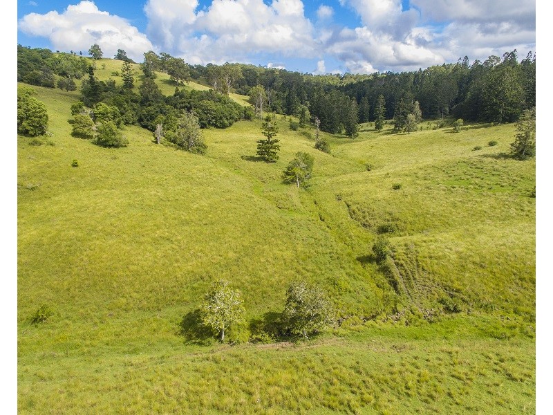 661 Caniaba Road, Caniaba NSW 2480