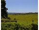 Lot 401 Cameron Park, Mcleans Ridges NSW 2480