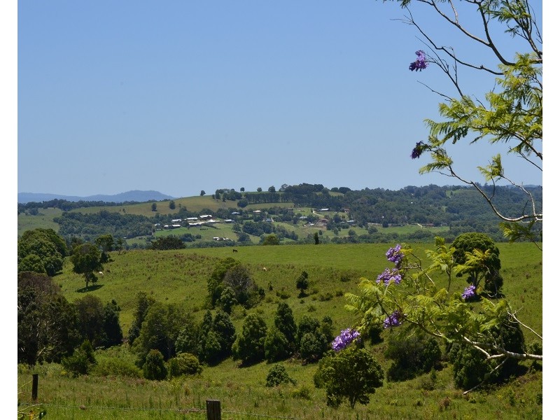 Lot 423 Cameron Park, Mcleans Ridges NSW 2480