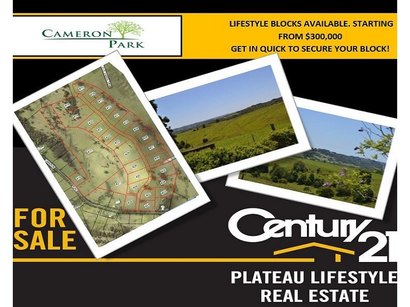 Lot 423 Cameron Park, Mcleans Ridges NSW 2480