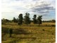 Condobolin NSW 2877