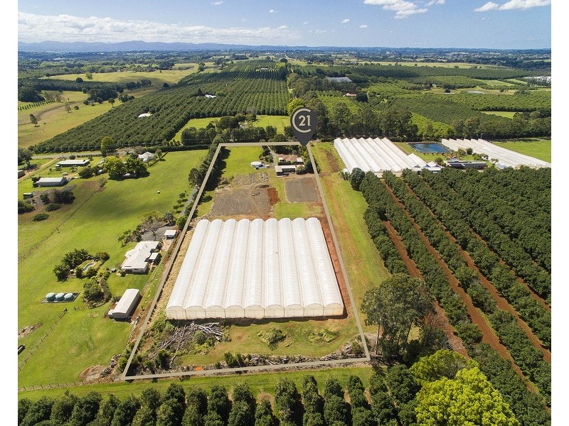 167 Rous Road, Alstonville NSW 2477