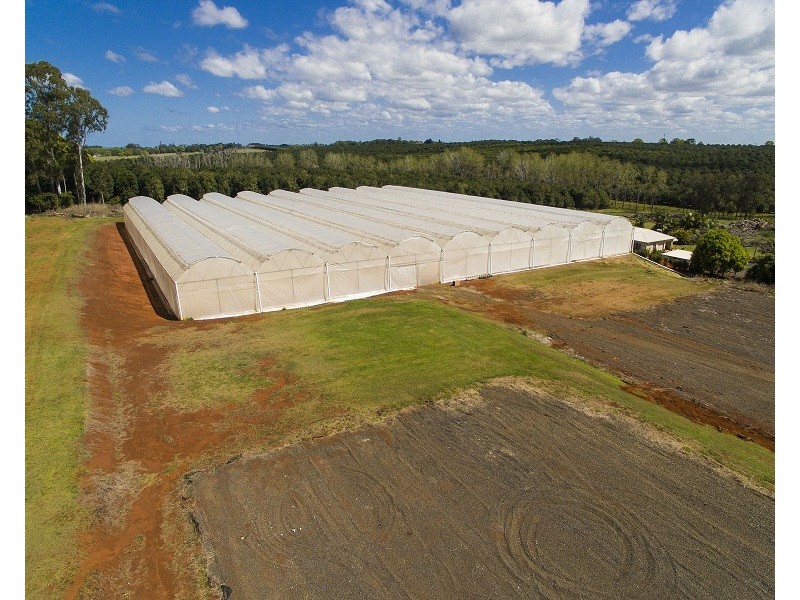 167 Rous Road, Alstonville NSW 2477