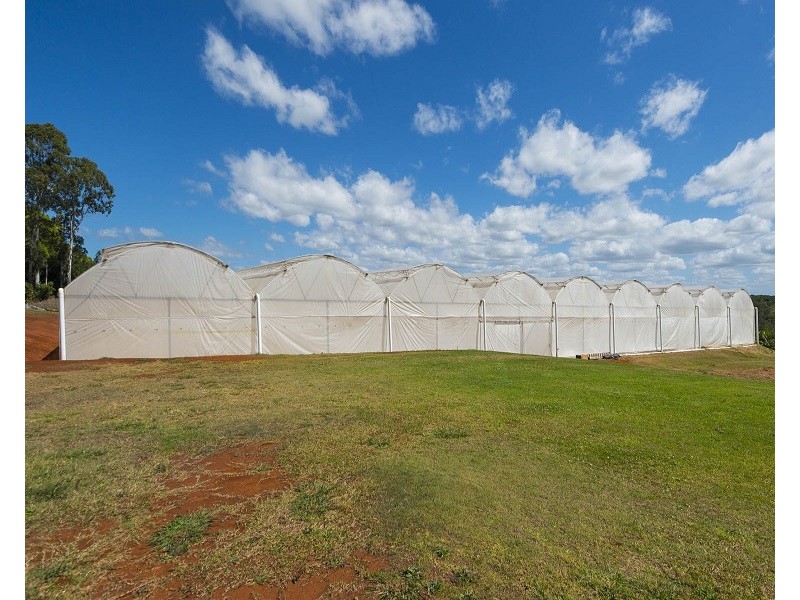 167 Rous Road, Alstonville NSW 2477