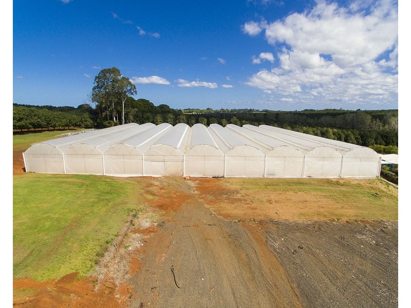 167 Rous Road, Alstonville NSW 2477