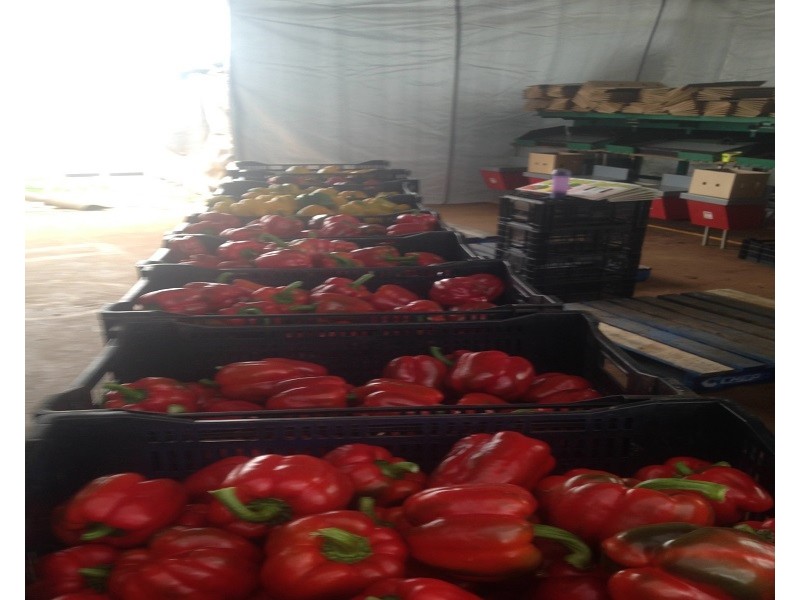 167 Rous Road, Alstonville NSW 2477