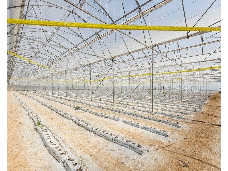 167 Rous Road, Alstonville NSW 2477