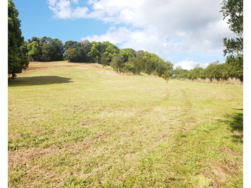 87 Willis Road, Tregeagle NSW 2480