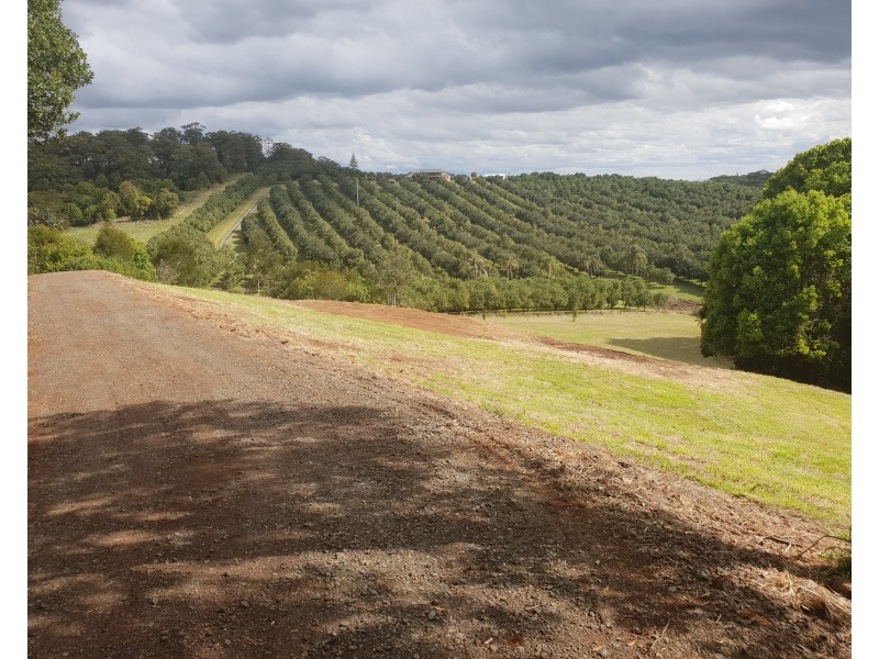 87 Willis Road, Tregeagle NSW 2480