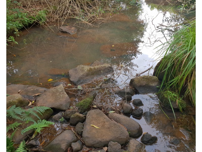 87 Willis Road, Tregeagle NSW 2480