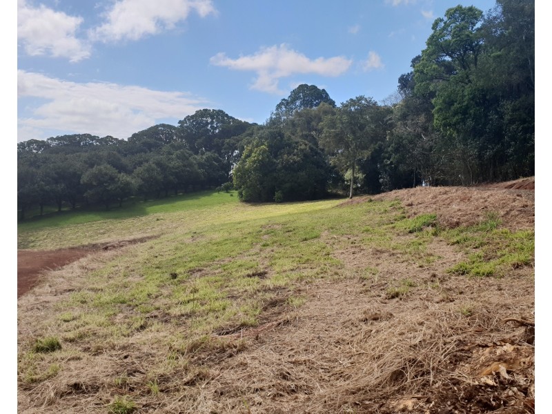 87 Willis Road, Tregeagle NSW 2480