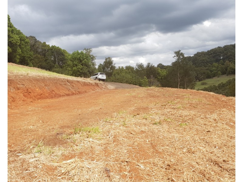 87 Willis Road, Tregeagle NSW 2480