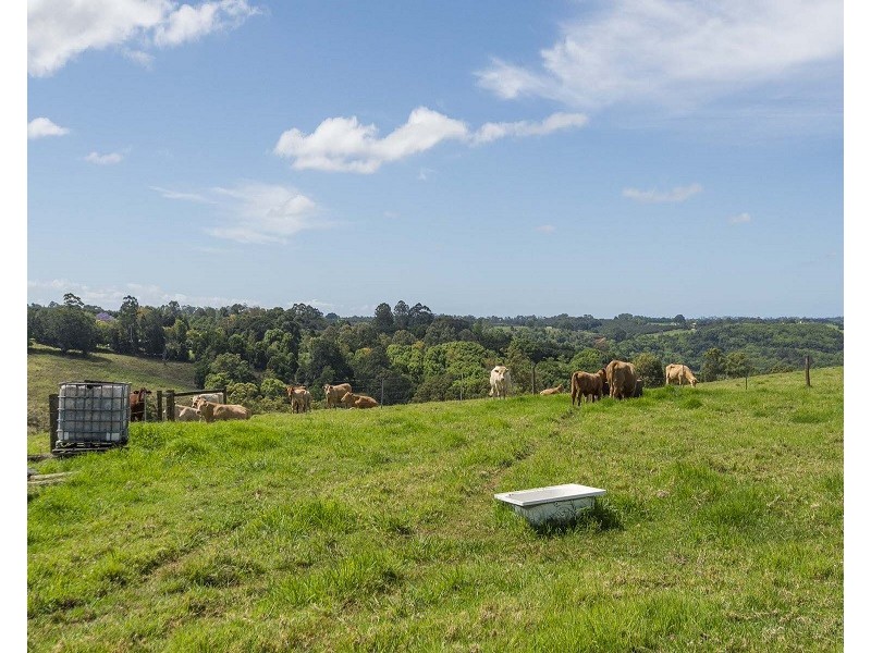 13 Wooley Road, Tregeagle NSW 2480