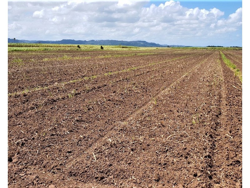 Lot 5 Boundary Creek Road, Wardell NSW 2477