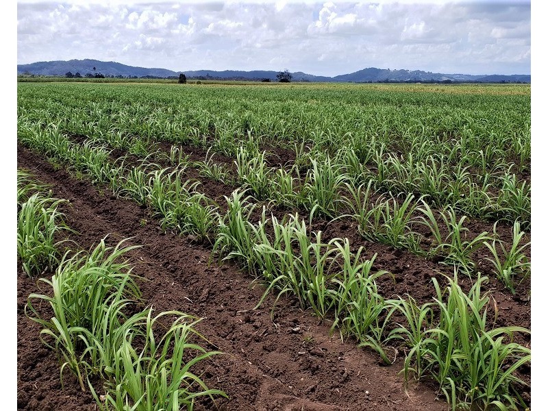 Lot 5 Boundary Creek Road, Wardell NSW 2477