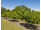 26 Highview Crescent, Modanville NSW 2480
