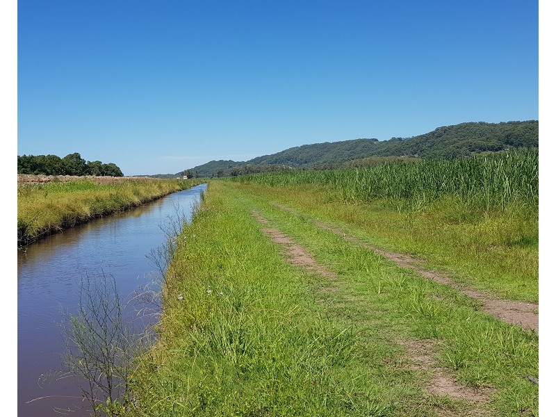 Lot 8 Whytes Lane, Pimlico NSW 2478