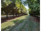 Lismore NSW 2480