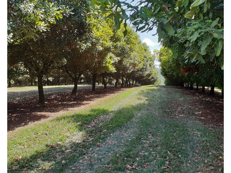 Lismore NSW 2480