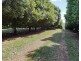 Lismore NSW 2480