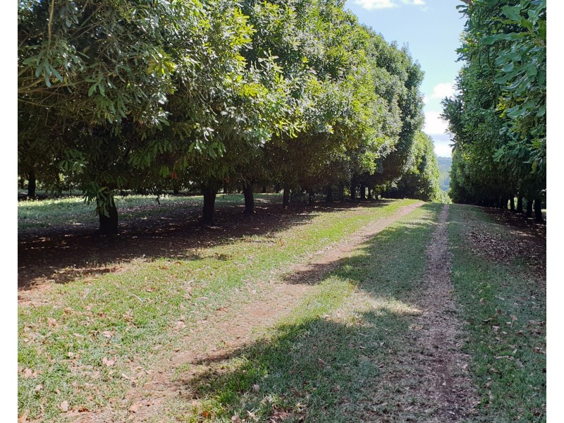Lismore NSW 2480
