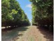 Lismore NSW 2480