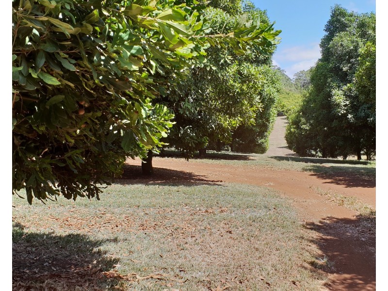 Lismore NSW 2480