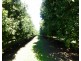Lismore NSW 2480
