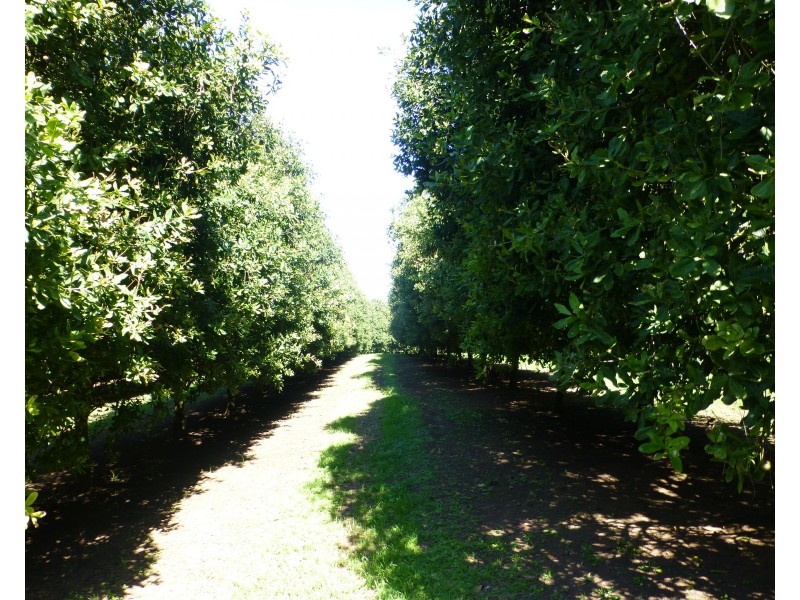 Lismore NSW 2480
