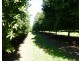 Lismore NSW 2480