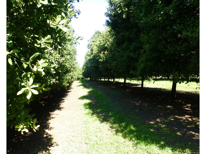 Lismore NSW 2480