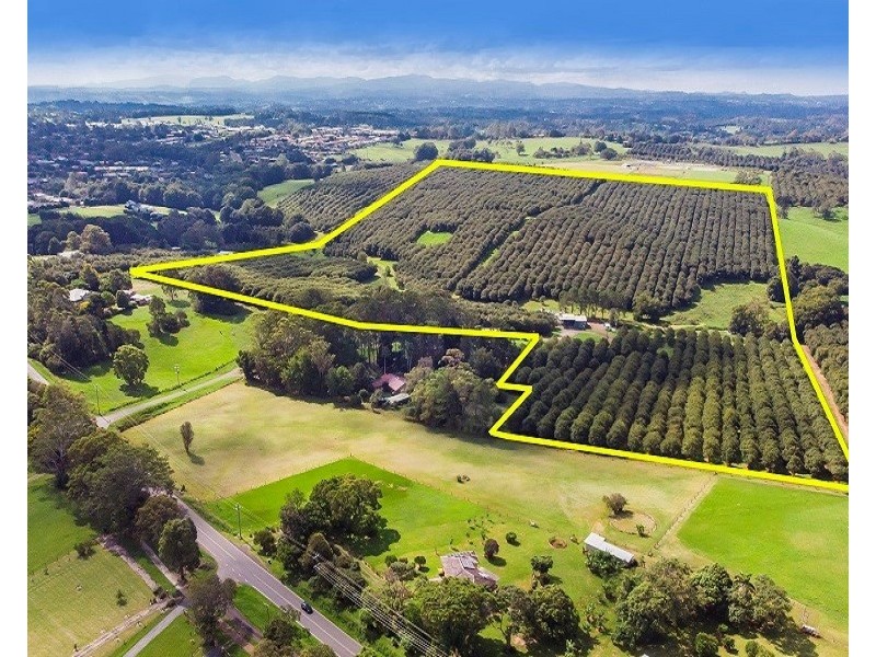 Lots 3 and 4 Frank Street, Alstonville NSW 2477