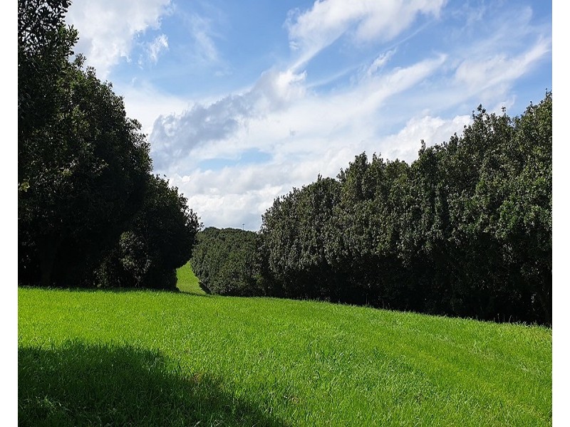 Lots 3 and 4 Frank Street, Alstonville NSW 2477