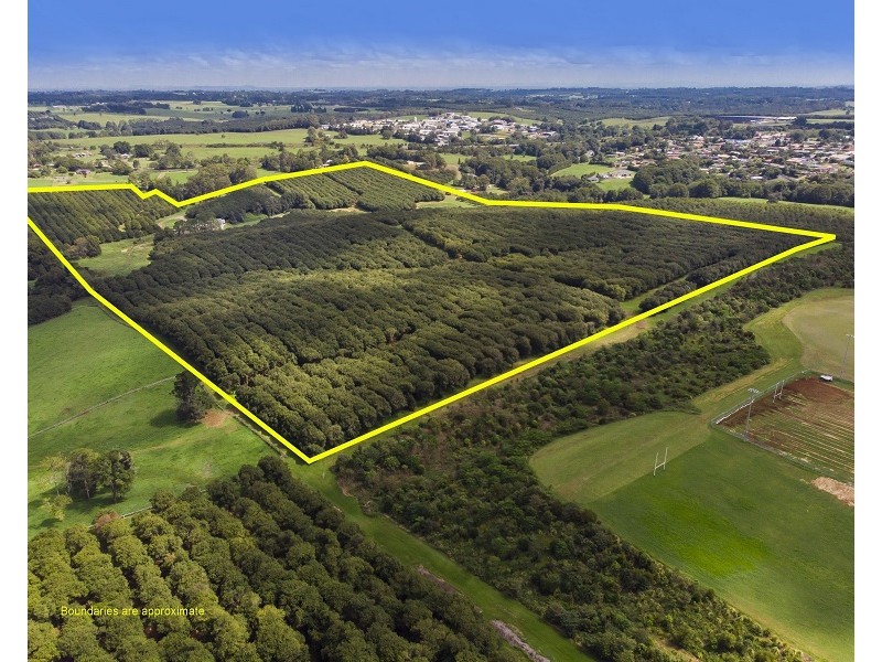 Lots 3 and 4 Frank Street, Alstonville NSW 2477