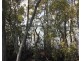 Lot 9 Hermans Lane, Pimlico NSW 2478