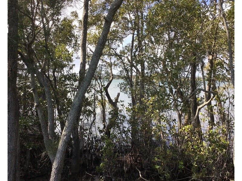 Lot 9 Hermans Lane, Pimlico NSW 2478