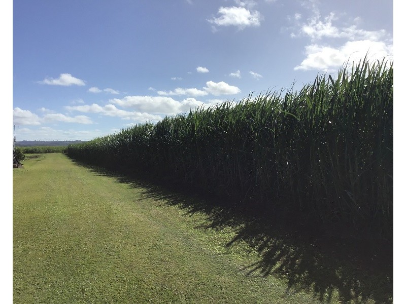 Lot 9 Hermans Lane, Pimlico NSW 2478