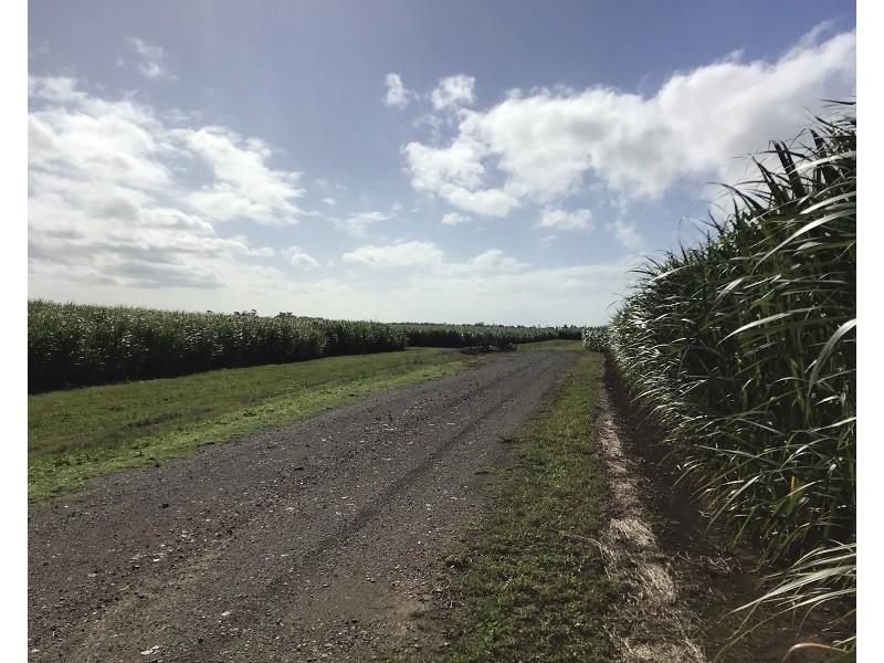 Lot 9 Hermans Lane, Pimlico NSW 2478