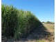 Swan Bay NSW 2471
