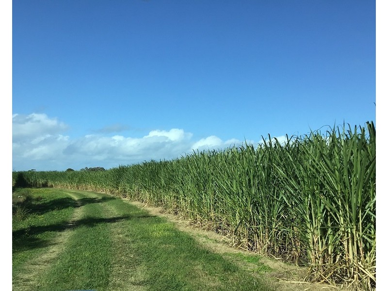 Lot 11 Pimlico Road, Pimlico NSW 2478