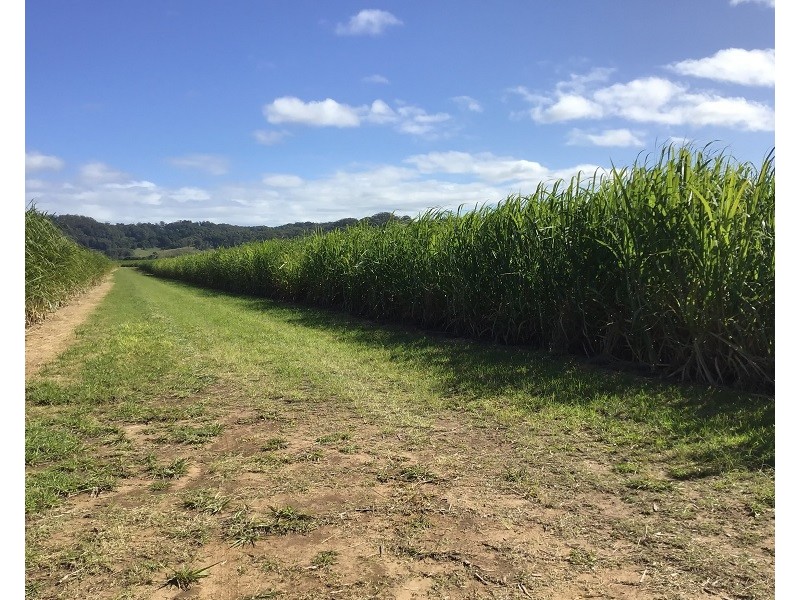 Lot 11 Pimlico Road, Pimlico NSW 2478