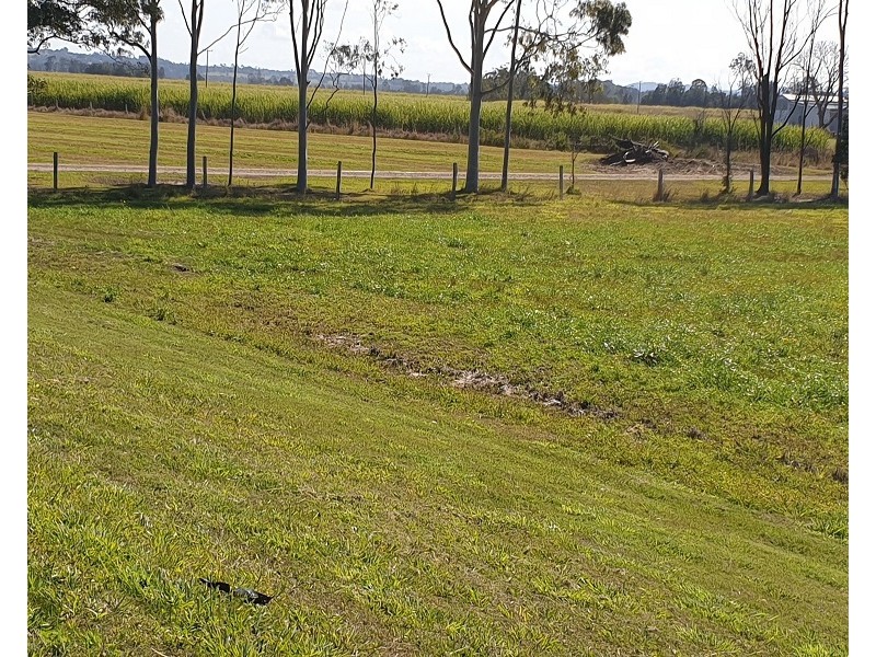Green Forest NSW 2471