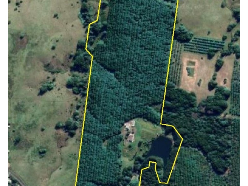 1360 Lismore Road, Clunes NSW 2480