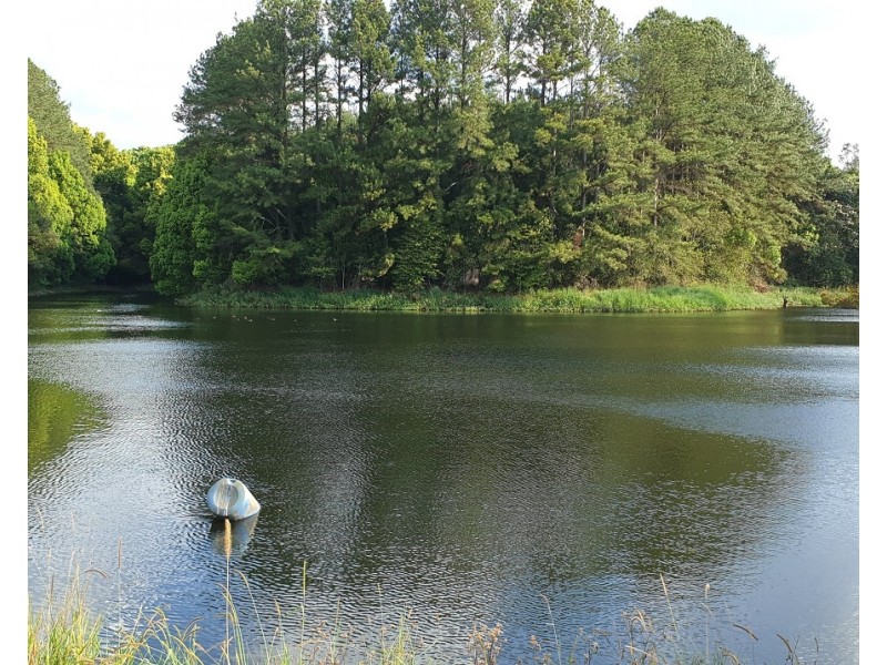 1360 Lismore Road, Clunes NSW 2480