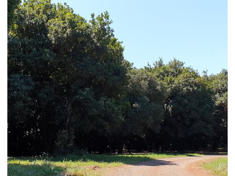 1360 Lismore Road, Clunes NSW 2480