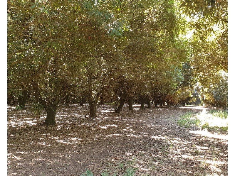 1360 Lismore Road, Clunes NSW 2480