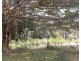 Lot 100 and 101 Bungawalbin-Whiporie Road, Bungawalbin NSW 2469