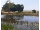 Lot 100 and 101 Bungawalbin-Whiporie Road, Bungawalbin NSW 2469