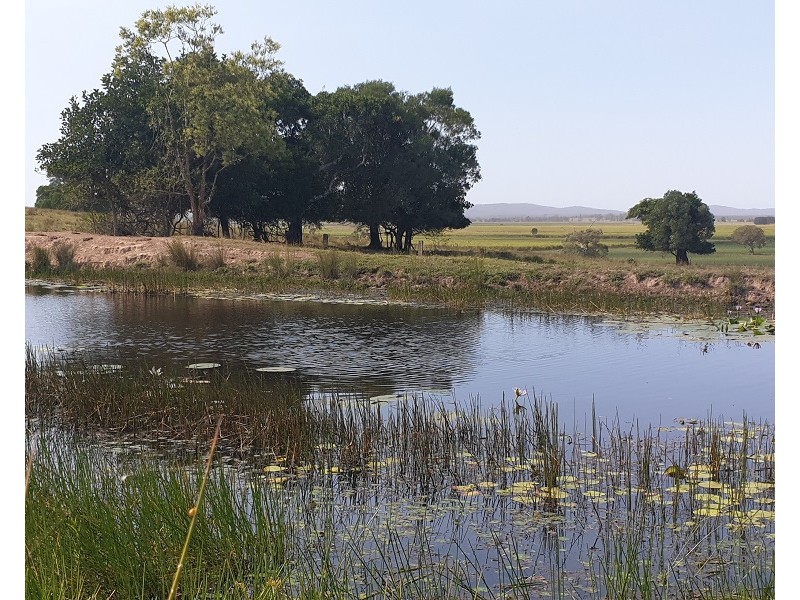 Lot 100 and 101 Bungawalbin-Whiporie Road, Bungawalbin NSW 2469