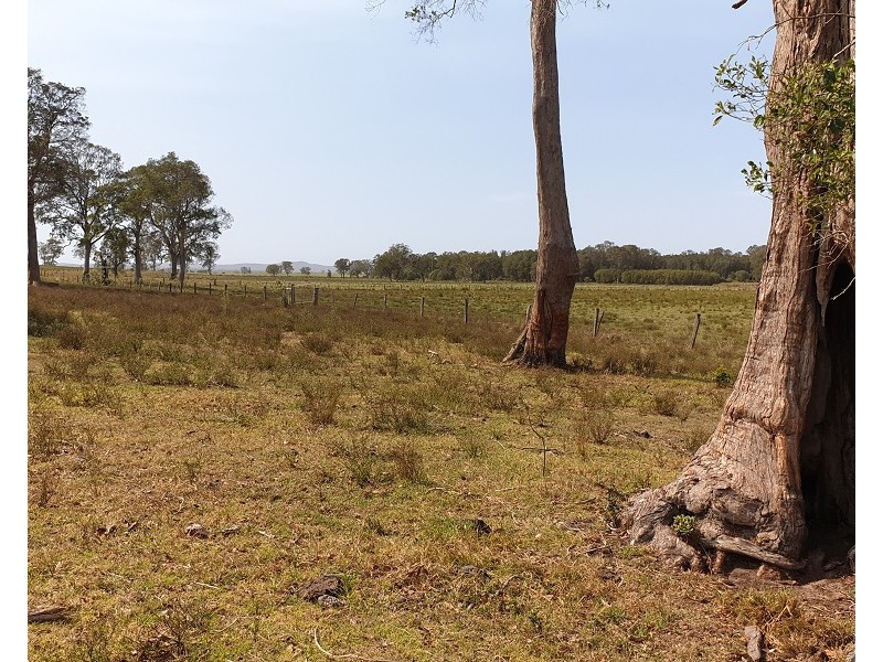 Lot 100 and 101 Bungawalbin-Whiporie Road, Bungawalbin NSW 2469